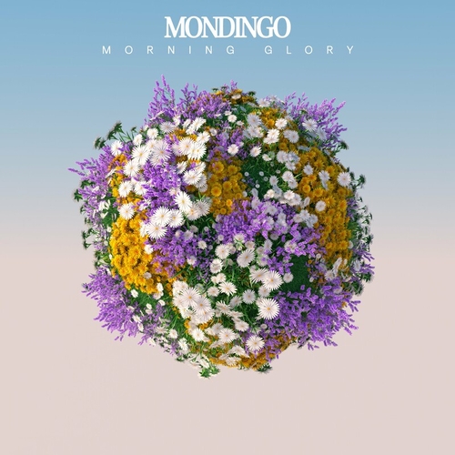 Mondingo - Morning Glory EP [BE2HW2300013DM]